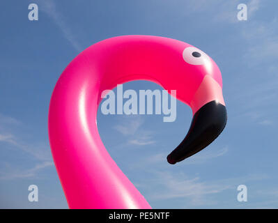 Farbe der Kopf und Hals einer rosa Aufblasbare Flamingo, geschossen von unten gegen einen blauen Himmel mit schwachen wispy Wolken Stockfoto