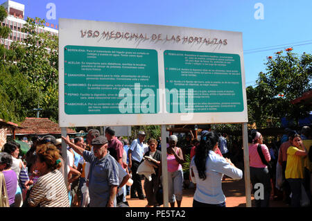 Pflanzliche medizinische Ratschläge auf einem Bauernmarkt in Havanna-City. Stockfoto