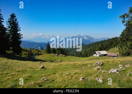 Kohler Alm in der Nähe von Inzell, mit sonntagshorn an der Chiemgauer Alpen. Stockfoto