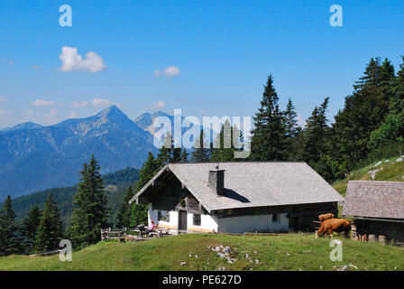 Kohler Alm in der Nähe von Inzell, mit sonntagshorn an der Chiemgauer Alpen. Stockfoto