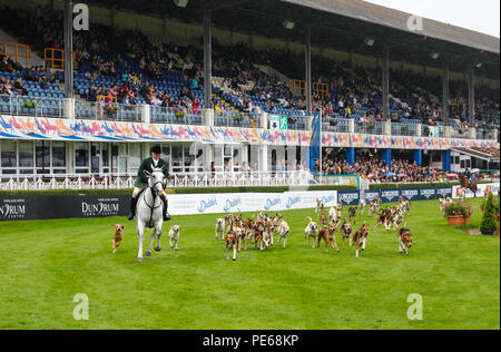 Dublin. 13 Aug, 2018. Jagd Jagd ist auf Dublin Horse Show 2018 im Royal Dublin Society in Dublin, Irland, durchgeführt 12.08.2018. Die 2018 Dublin Horse Show, einer 5-tägigen internationalen Horse Jumping event, hier am Sonntag abend beendet. Quelle: Xinhua/Alamy leben Nachrichten Stockfoto