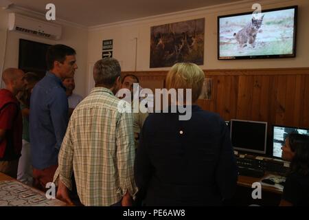 Sánchez y Merkel visitan de Doñana el centro de cría en cautividad del Lince ibérico Sanchez und Merkel besuchen Sie den Nationalpark Coto de Doñana Besuch der Iberische Luchs in der Doñana 66/Cordon drücken Sie Stockfoto