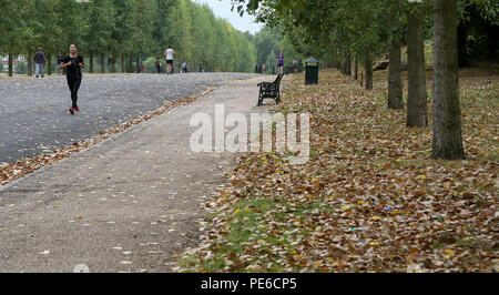 Finsbury Park. London. UK 13 Aug 2018-UK Wetter: Herbst fühlen sich in Finsbury Park im Norden von London, wie sie in trockenen Laub abgedeckt ist, im August. Credit: Dinendra Haria/Alamy leben Nachrichten Stockfoto