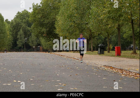 Finsbury Park. London. UK 13 Aug 2018-UK Wetter: Herbst fühlen sich in Finsbury Park im Norden von London, wie sie in trockenen Laub abgedeckt ist, im August. Credit: Dinendra Haria/Alamy leben Nachrichten Stockfoto