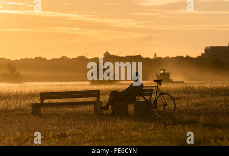 Berlin, Deutschland. 13 Aug, 2018. Ein Mann genießt die Morgen Atmosphäre im Licht der aufgehenden Sonne auf dem Tempelhofer Feld. Credit: Paul Zinken/dpa/Alamy leben Nachrichten Stockfoto