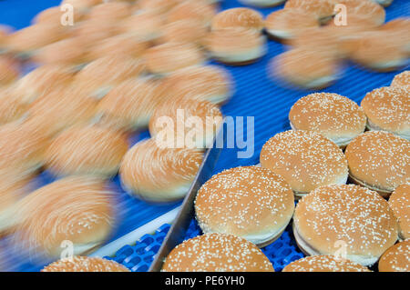 Gebackene Brötchen Mit Sesam auf der Produktionslinie. Stockfoto