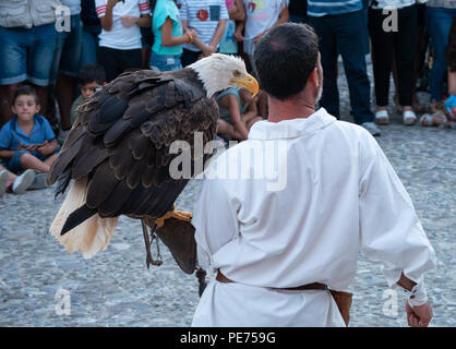 Pisticci (Italien) - Die mittelalterliche Fest Enotria Felix in der Weißen Stadt Provinz Matera. Hier die Show der Falknerei, mit Adler, Eulen und Falken Stockfoto