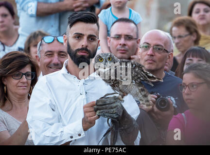 Pisticci (Italien) - Die mittelalterliche Fest Enotria Felix in der Weißen Stadt Provinz Matera. Hier die Show der Falknerei, mit Adler, Eulen und Falken Stockfoto