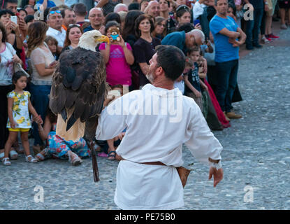 Pisticci (Italien) - Die mittelalterliche Fest Enotria Felix in der Weißen Stadt Provinz Matera. Hier die Show der Falknerei, mit Adler, Eulen und Falken Stockfoto