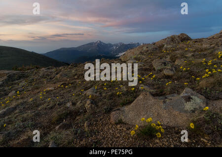 Von entlang der Ute Trail mit Longs Peak lauert im Hintergrund. Stockfoto