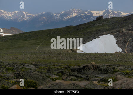 Vom Gipfel des Tafelbergs, dieser Weg führt hinunter zu Trail Ridge Road in der Nähe von Grand Lake. Stockfoto