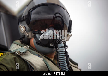 Kapitän Julio Gomez, 2 Fighter Training Squadron Arzt, ist bereit, für seinen Flug auf einem T-38 Talon Okt. 27, während der Übung südlichen Streik bei der Naval Air Station gemeinsame Mindestreservebasis Belle Chasse, La in der ersten Woche der Übung konzentriert sich auf die lokalen Fliegen mit T-38 s, der F-22 Raptors und die F-15 Adler vom NAS JRB. (U.S. Air Force Foto: Staff Sgt. Russ Jackson/Freigegeben) Stockfoto