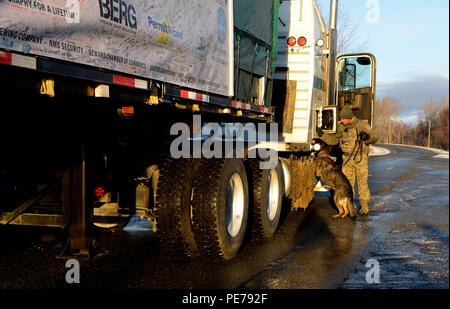 Staff Sgt. Steven Wheeler, 673 d Security Forces Squadron, und militärische Gebrauchshund, Ajax, Suche der Lkw mit dem US Capitol Weihnachtsbaum, wie es durch die Post Road Tor auf gemeinsamer Basis Elmendorf-Richardson, Alaska, Okt. 31, 2015 eintrifft. Seit mehr als 50 Jahren, ein Baum hat der Westen Rasen der U.S. Capitol für die Weihnachtszeit ziert. Die Chugach National Forest in Partnerschaft mit gemeinnützigen Freien wählen, wird dieses Geschenk von Alaska bis Washington, D.C. bringen für die 2015 Saison, während Sie 13 Stationen in Gemeinden entlang der Weise. (U.S. Air Force Foto/Flieger Valerie Monroy) Stockfoto