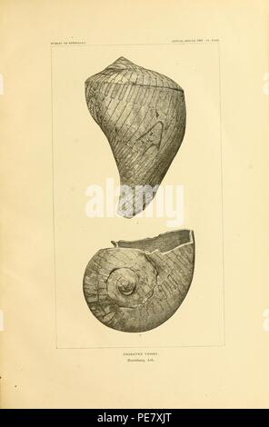 Kunst in der Schale der alten Amerikaner Stockfoto