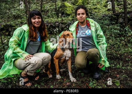 Perro de Campo encontrado Herido, atendido rescatado y por integrantes de Expedición Entdeckung Madrense.... Discovery Madrense expedición De Greate Stockfoto