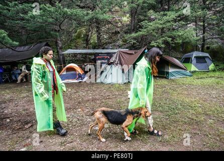 Perro de Campo encontrado Herido, atendido rescatado y por integrantes de Expedición Entdeckung Madrense.... Discovery Madrense expedición De Greate Stockfoto