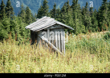 Eine Holzhütte auf dem grünen Rasen unter den Bäumen auf dem Gebiet eines Landes. Stockfoto