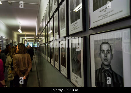 Hunderte von Fotos der Häftlinge, die im Konzentrationslager von Auschwitz in Oswiecim, Polen lebten. Touristen, die in das Museum. Stockfoto