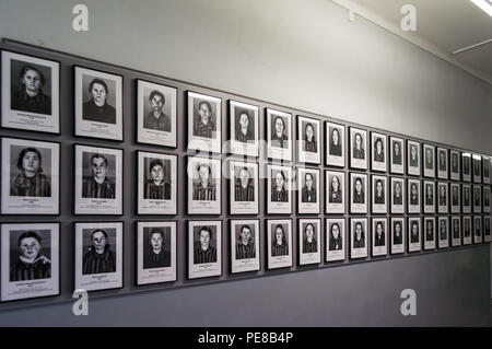 Hunderte von Fotos der Häftlinge, die im Konzentrationslager von Auschwitz in Oswiecim, Polen lebten. Einer der Bausteine in Auschwitz Birkenau Museum. Stockfoto