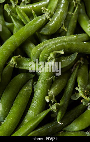 Frisch gepflückte grün-Sticks von Erbsen close-up mit Wassertropfen. Stockfoto