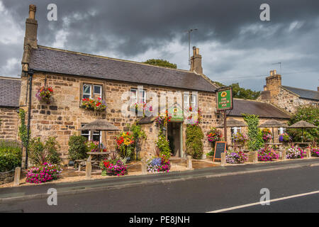 Traditioneller Englischer Pub, der Coach Inn, Lesbury, Northumberland mit einer farbigen Anzeige der Blüte hängende Körbe und Wannen Stockfoto