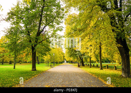 Parklandschaft mit Bäumen lädt zum Wandern ein. Stockfoto