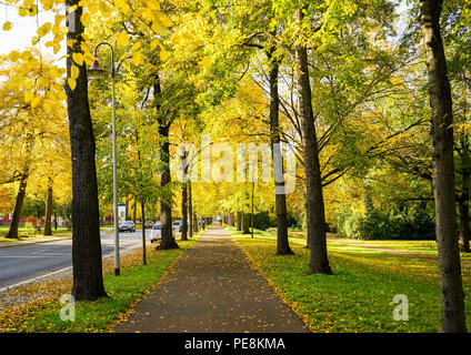 Parklandschaft mit Bäumen lädt zum Wandern ein. Stockfoto