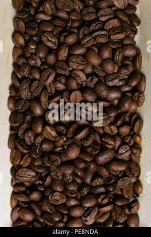 Mischung von verschiedenen Arten von Kaffee Bohnen. Kaffee Hintergrund. gerösteten Kaffeebohnen. Stockfoto