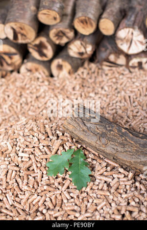 Eiche Holz, Pellets und treibt - Nachwachsende Rohstoffe Stockfoto