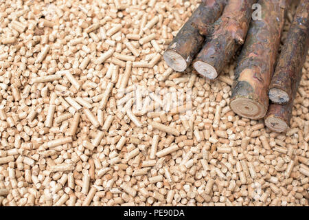 Nadelholz Biomasse - Holz und Pellets, erneuerbare Energien Stockfoto