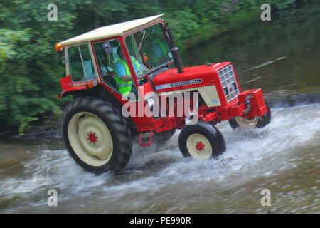 Eine Internationale 574 Traktor fährt durch den Fluss Skell in Ripon mit einem Konvoi von anderen Traktoren, die von Newby Hall Traktor Festival Stockfoto