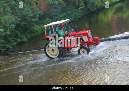 Eine Internationale 574 Traktor fährt durch den Fluss Skell in Ripon mit einem Konvoi von anderen Traktoren, die von Newby Hall Traktor Festival Stockfoto