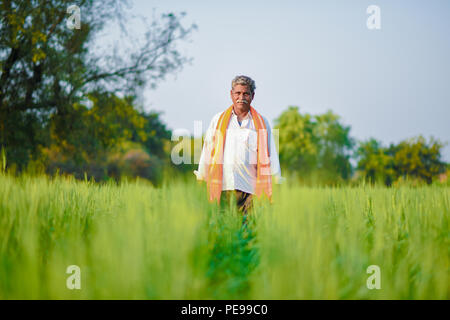 Indische Bauern, die Pflanze in seinem Weizenfeld Stockfoto