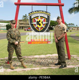 Petty Officer 1st Class Janelle Mattern, der führenden Petty Officer der Medizinischen Logistik, Support Unternehmen, Bekämpfung Logistik Bataillon 3 und Petty Officer 1st Class Jonathon Garcia, der ältere Soldaten Advisor für die III Marine Division geistliches Amt, stand vor der CLB-3 Einheit Zeichen an Bord Marine Corps Base Hawaii, November 5, 2015. Diese Matrosen gehetzt über die Straße auf die Szene, wo Robin Lopes, die sechste Klasse Lehrer an Mokapu Grundschule, auf dem Boden liegend war, nachdem Sie ein Fahrrad Unfall in der Schule Parkplatz hatte. "Ich habe immer Leute aus jetzt sagen werde, wenn sie Waren zu erhalten Stockfoto