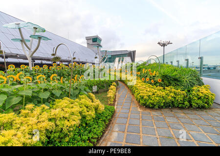 Singapur - 26. Juli 2018: Die Sonnenblume Garten am Flughafen Singapur Changi Stockfoto