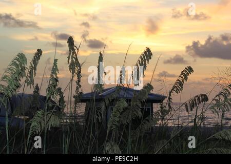 Sea Grass mit einem Shack am St. Pete Beach und den Sonnenuntergang im Hintergrund Stockfoto