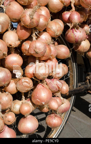 Zwiebeln in Abergavenny Food Festival verkauft wird Stockfoto