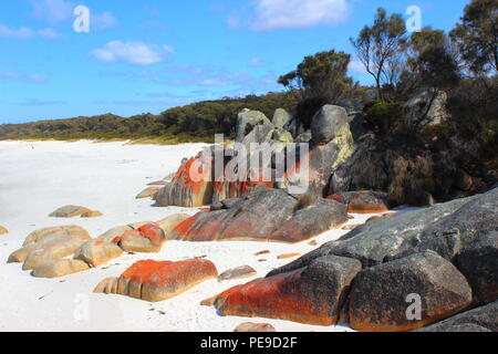 Bay of Fires Stockfoto