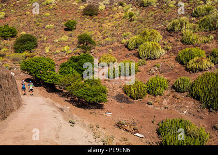 Gruppe von Wanderern, Feigenbäumen und Cardon Kaktus auf einem Hügel in Valle Grande, Anaga, Teneriffa, Kanarische Inseln, Spanien Stockfoto