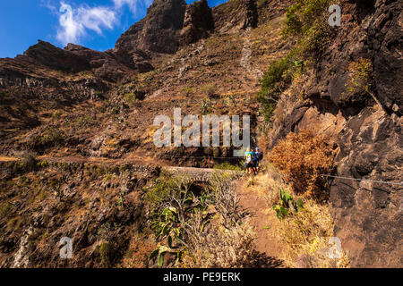 Wandern auf dem Canal de Catalanes im Anaga, Teneriffa, Kanarische Inseln, Spanien Stockfoto