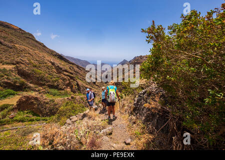 Wanderweg in Valle Grande auf dem Canal de Catalanes laufen, Anaga, Teneriffa, Kanarische Inseln, Spanien Stockfoto