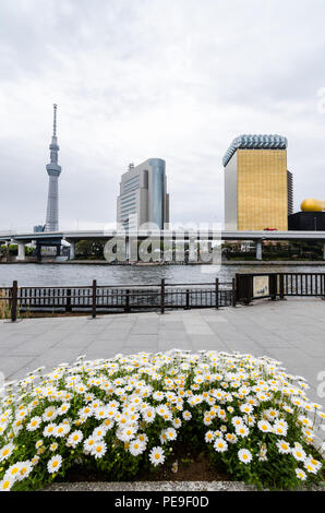Ikonischen Gebäude als von Sumida Park gesehen, über Sumida River. Die Gebäude sind Asahi HQ und Tower und Sumida Ward Office, und Tokio Skytree. Stockfoto