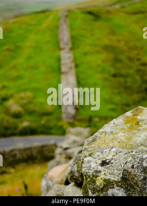 Suche entlang dem Hadrianswall in Northumberland in North East England im Vereinigten Königreich. Stockfoto