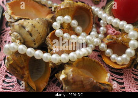 Schöne marine Muscheln verziert White Pearl schönes Souvenir nach Sommer Meer Ferienhäuser Stockfoto