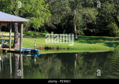 Blue Heron von der Magnolia Flusses, der Golf von Mexiko im Süden von Alabama, Magnolia Springs, Alabama, USA führt Stockfoto