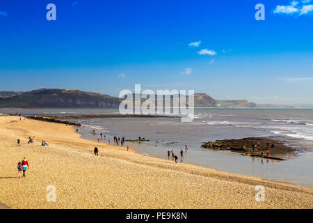 Eine niedrige Spring Tide stellt normalerweise Rock Pools unter der Strand in Lyme Regis auf der Jurassic Coast mit Golden Cap jenseits, Dorset, England, UK abgedeckt Stockfoto