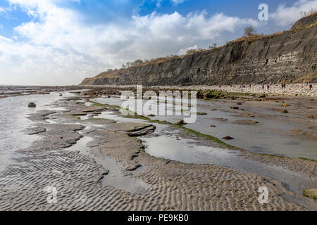 Eine außergewöhnlich niedrige Spring Tide entlarvt die normalerweise unsichtbaren Meeresboden am Monmouth Beach an der Jurassic Coast, Lyme Regis, Dorset, England, Großbritannien Stockfoto