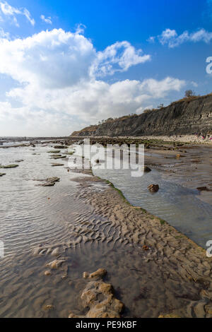 Eine außergewöhnlich niedrige Spring Tide entlarvt die normalerweise unsichtbaren Meeresboden am Monmouth Beach an der Jurassic Coast, Lyme Regis, Dorset, England, Großbritannien Stockfoto