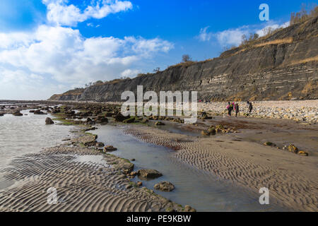 Eine außergewöhnlich niedrige Spring Tide entlarvt die normalerweise unsichtbaren Meeresboden am Monmouth Beach an der Jurassic Coast, Lyme Regis, Dorset, England, Großbritannien Stockfoto