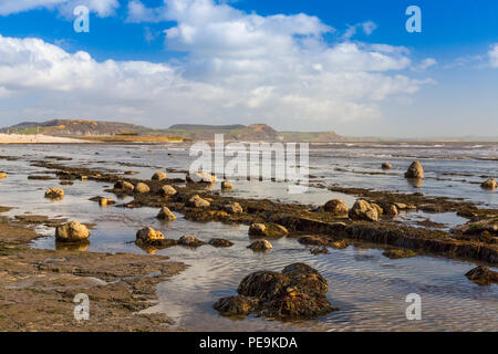 Eine außergewöhnlich niedrige Spring Tide entlarvt die normalerweise unsichtbaren Meeresboden am Monmouth Beach an der Jurassic Coast, Lyme Regis, Dorset, England, Großbritannien Stockfoto